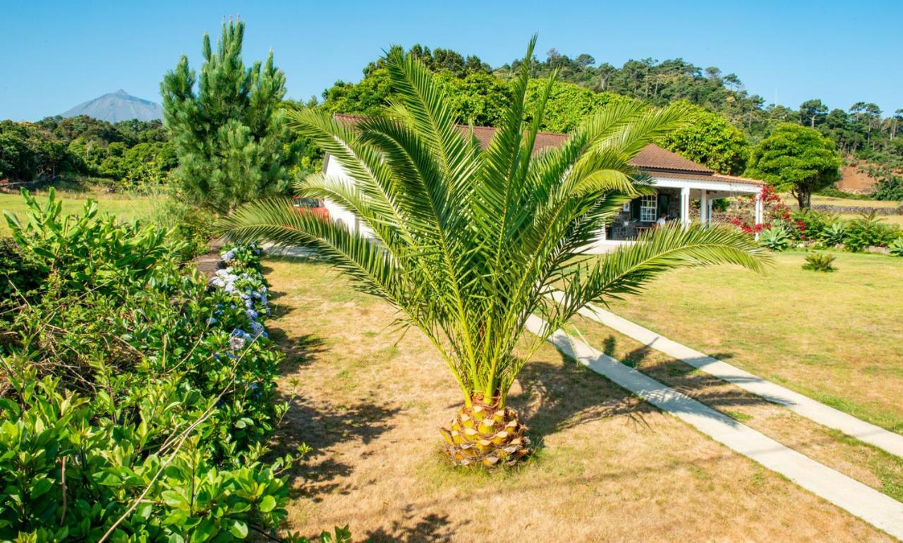 Santo Antonio Casa Amaral别墅 外观 照片